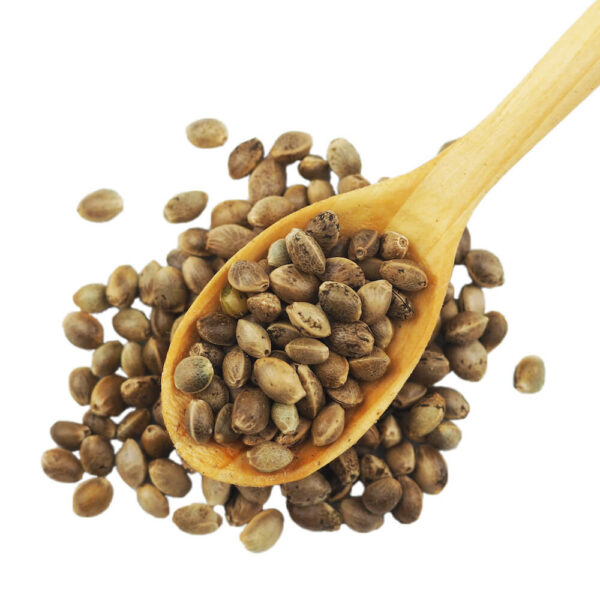 Bio Hanf Crunchies Natur