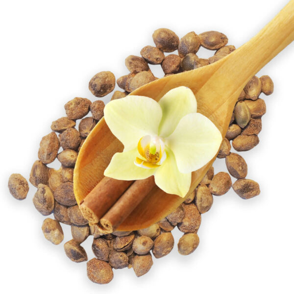 Bio Hanf Crunchies Vanille Zimt offen Produktbild